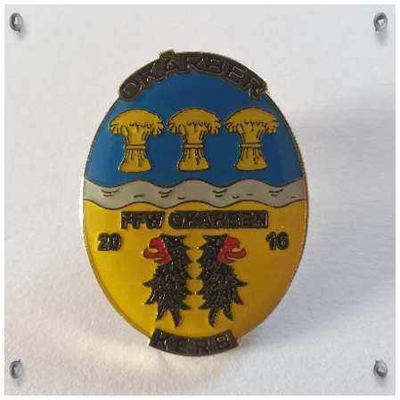 PIN 2016