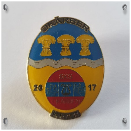PIN 2017