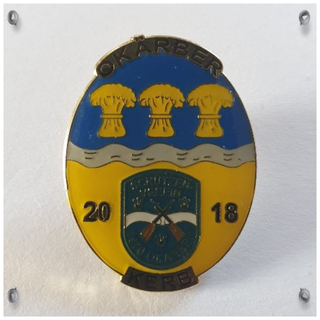 PIN 2018